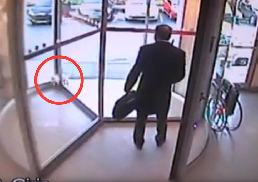 Gato queda atrapado en puerta giratoria
