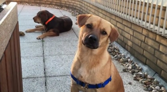 Otto recuperó su esperanza en la humanidad