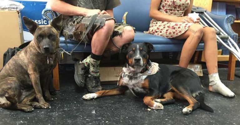 Un refugio en New York se encarga de ayudar a personas sin hogar y a sus mascotas