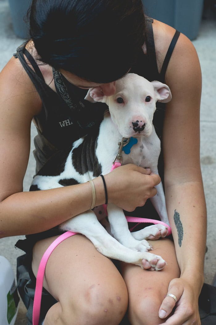 Refugio cuida de personas y animales sin hogar