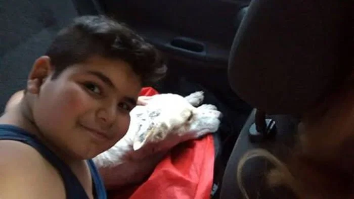 Niño de 9 años puso en venta su patineta para salvar la vida de un perro sin hogar 1 Rocco y Mauco