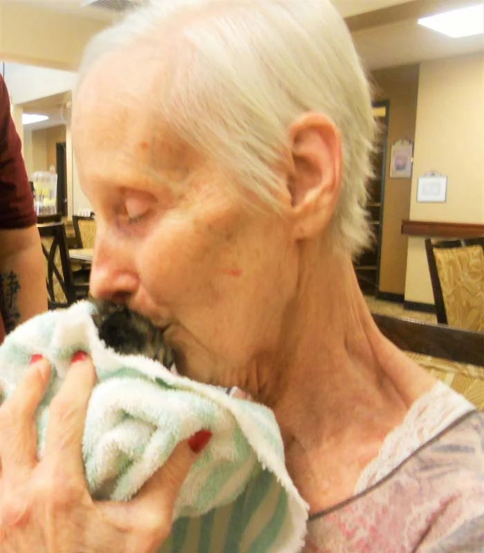 Verdadero amor entre gatos y ancianos