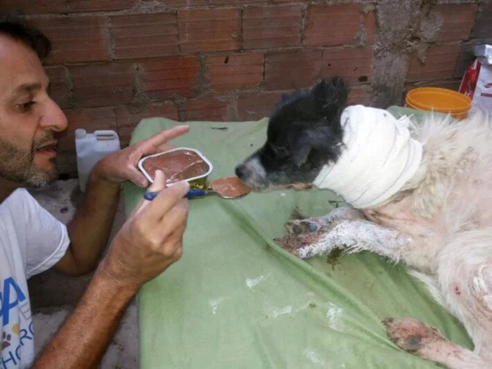 Wilson alimentando a Anja