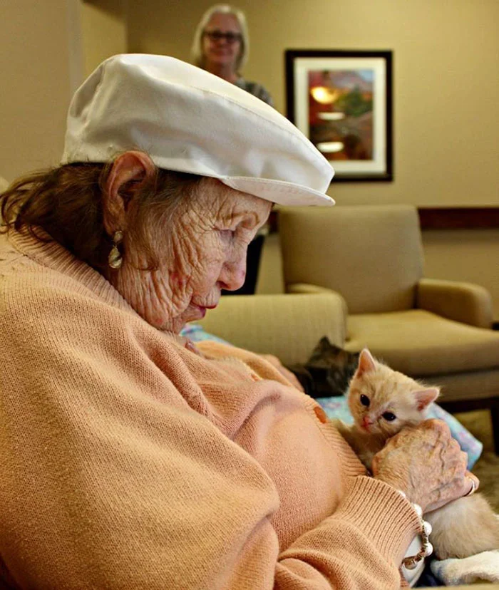 Anciana cuidando a un gato