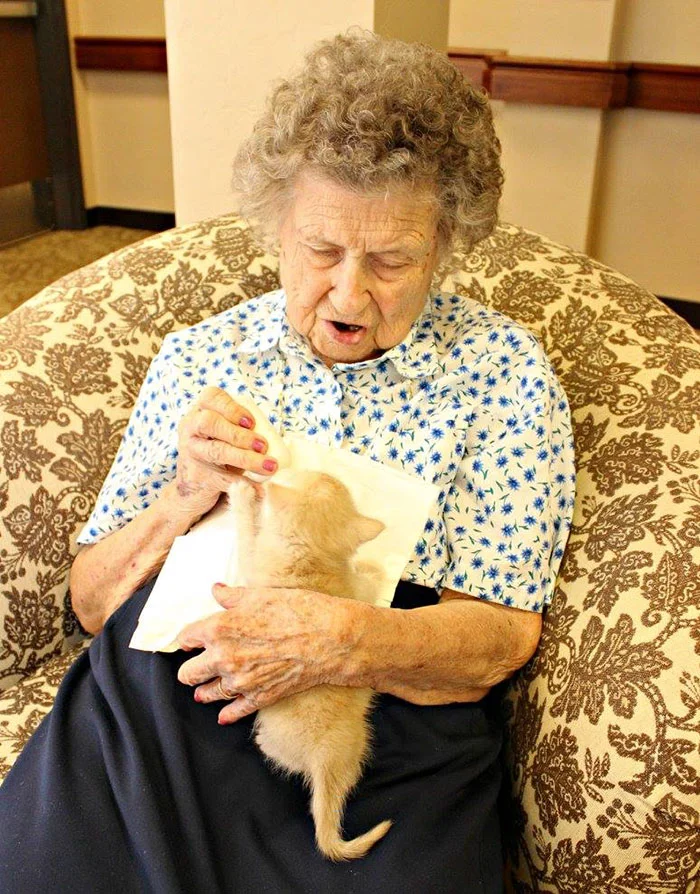 Anciana y gato