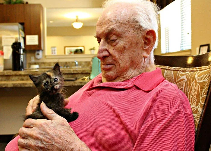 Anciano cuidando un gato