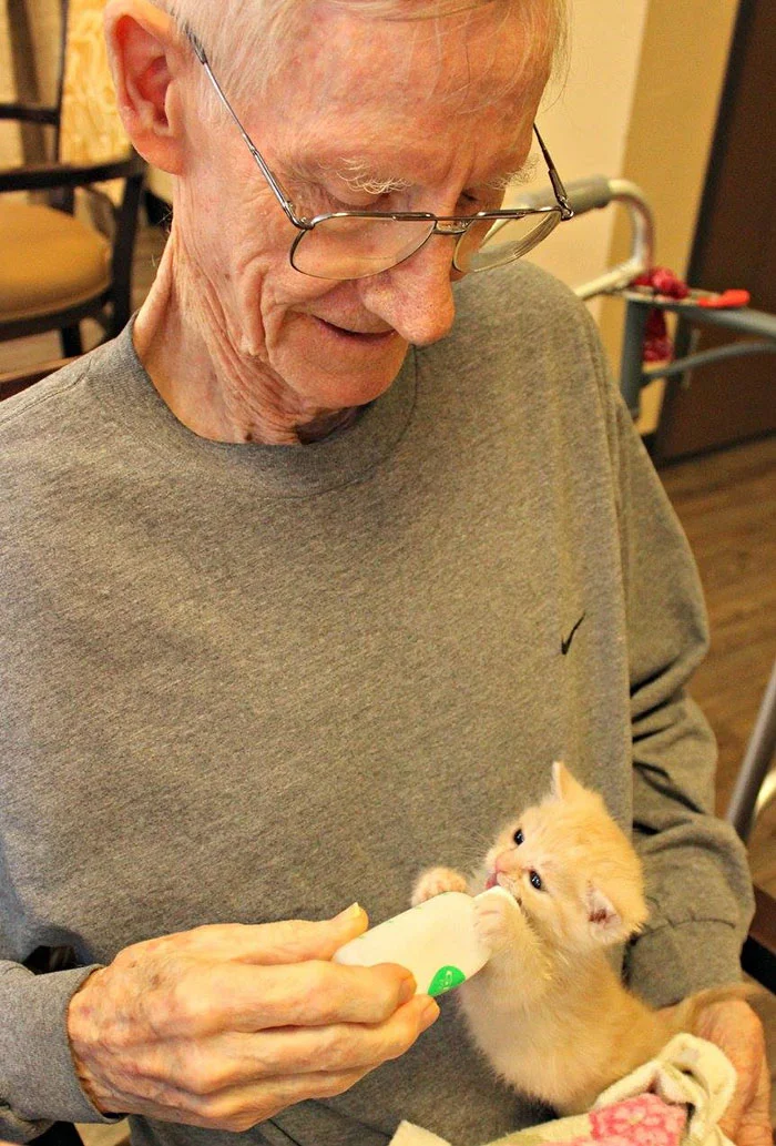 Anciano y gato