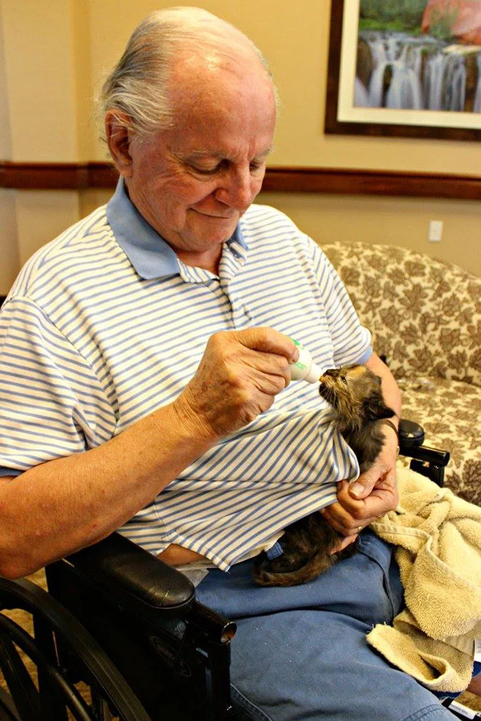 Anciano y un gato