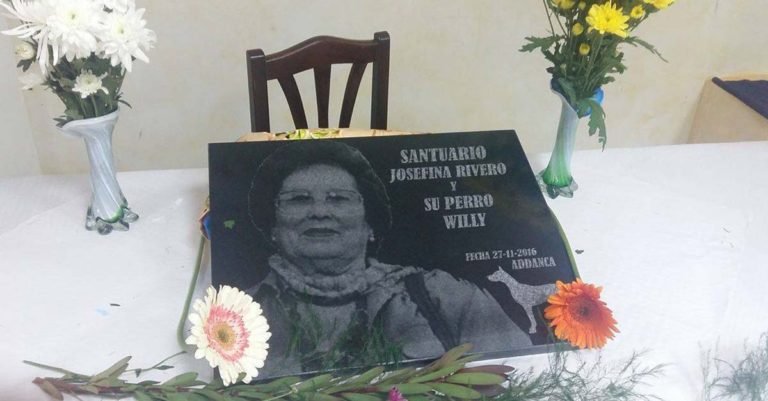 Una mujer dejó como herederos a una protectora de animales y ellos crearán un santuario