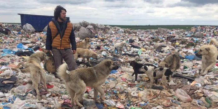 Este hombre renunció a su carrera como modelo para irse a vivir con 500 animales abandonados 2 Gökcer Korkmaz ama a los animales