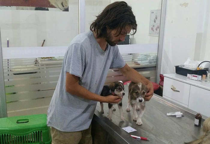 Este hombre renunció a su carrera como modelo para irse a vivir con 500 animales abandonados 4 Gökcer renunció a su lujosa vida