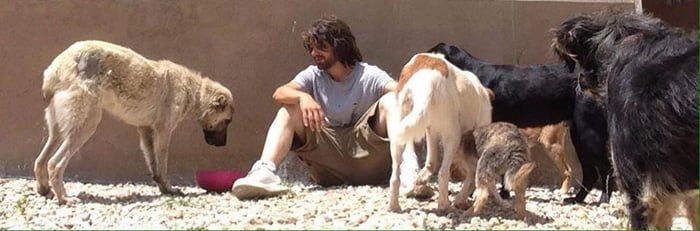 Este hombre renunció a su carrera como modelo para irse a vivir con 500 animales abandonados 6 Gökcer
