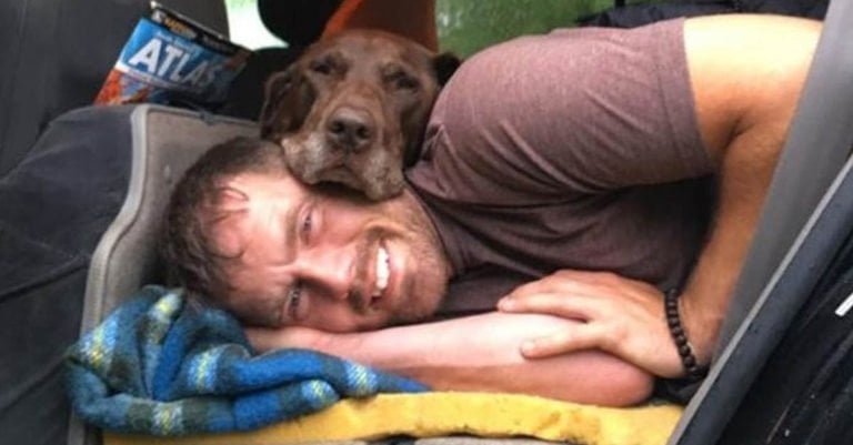 Este hombre le brindó a su perra con cáncer los últimos y más felices meses de su vida