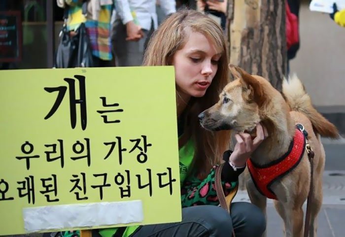 Mercados de carne de perro en Corea del Sur