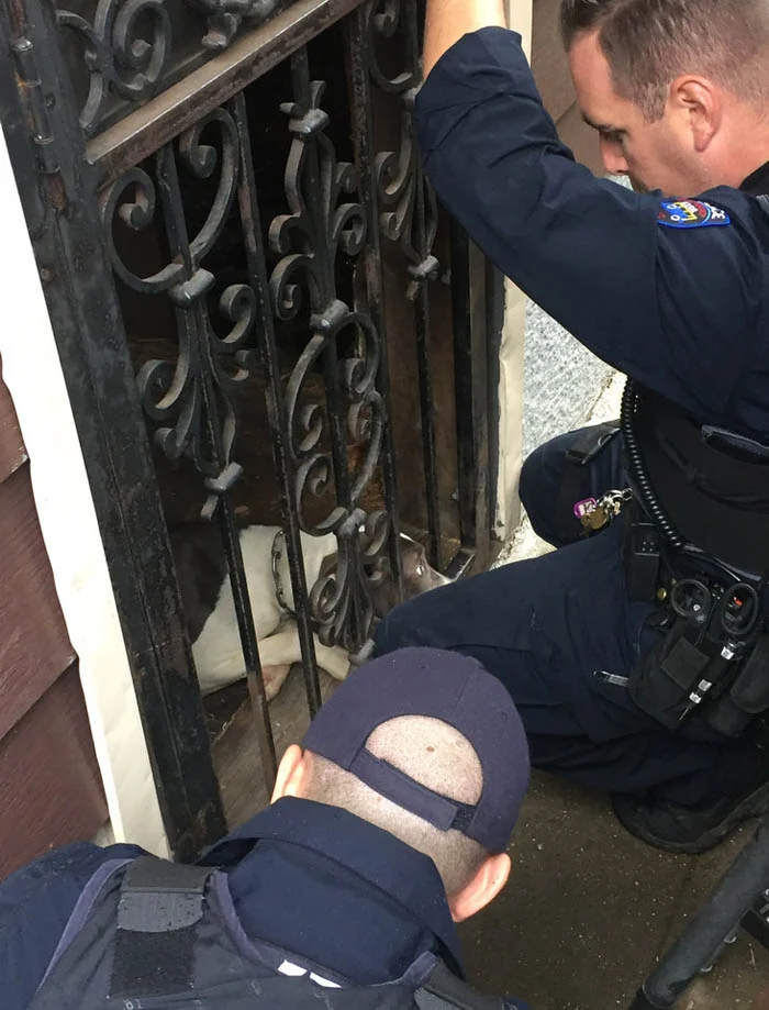 Mila Mila estuvo encadenada y encerrada