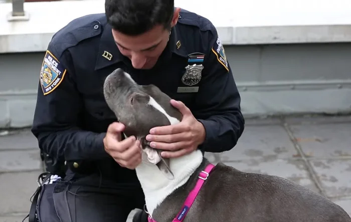 Mila y Sailor Mila y Sailor