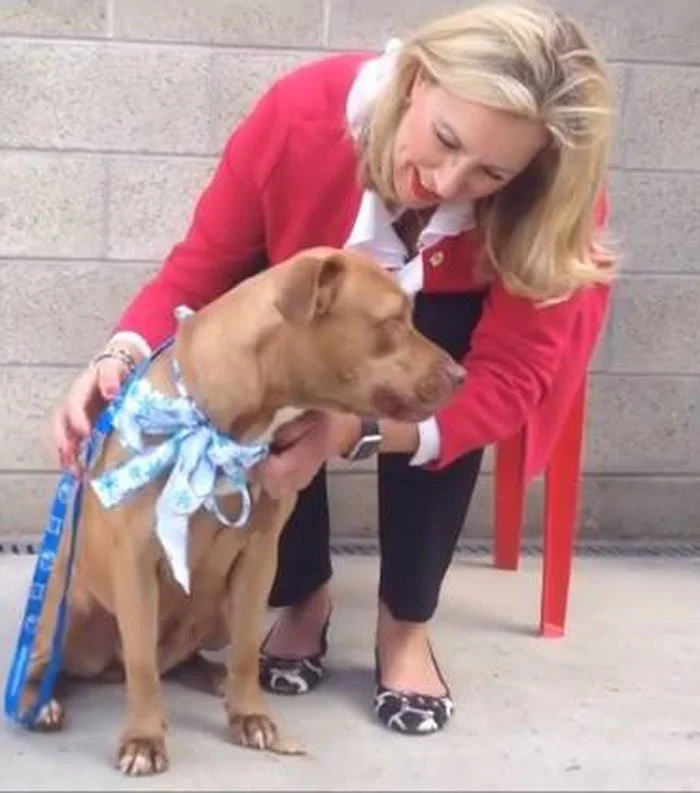 Mujer ayuda a que los animales de un refugio encuentren un hogar