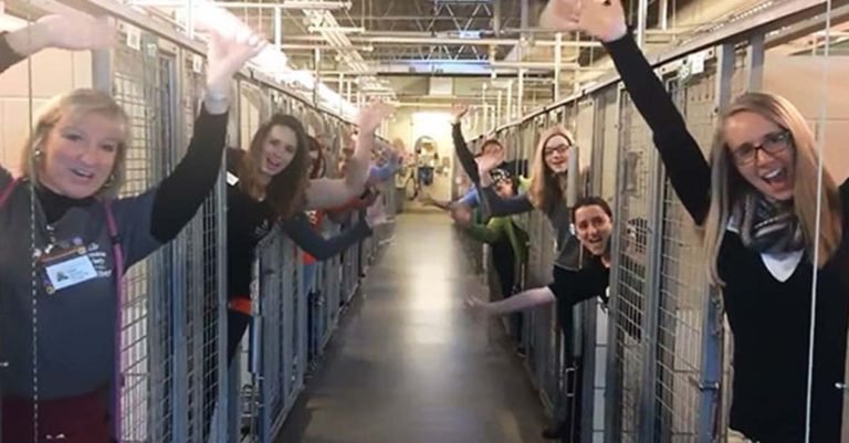 Los voluntarios de este refugio animal se encuentran realmente felices porque todos los perros han sido adoptados