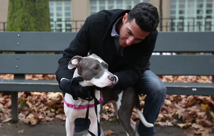 Mila y Sailor Sailor y Mila