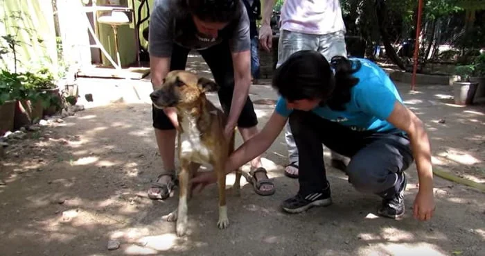 Sidney fue sometido a terapia