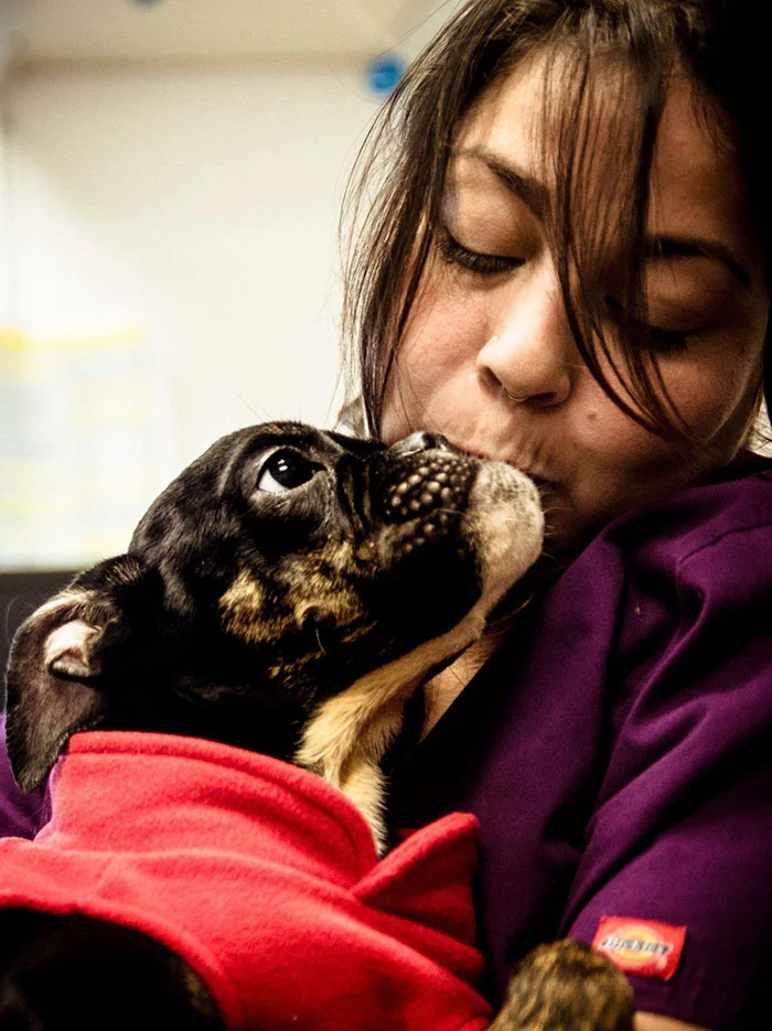 Sophie recibe mucho amor