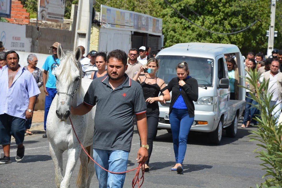 Caballo llora la muerte de su mejor amigo