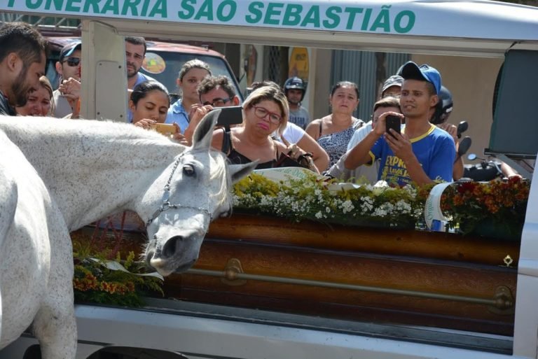 Este caballo se despidió de su mejor amigo en su funeral