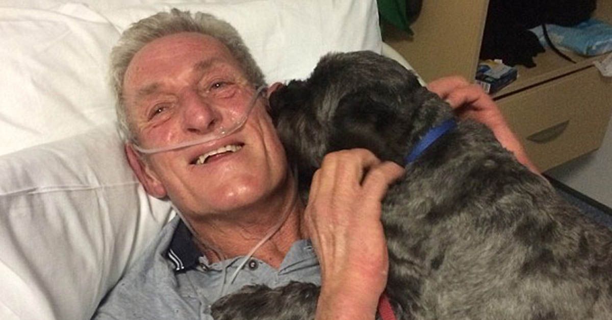 Este hombre despertó gracias a su perro tras permanecer 3 días en coma