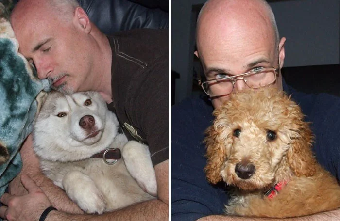 Hombre construye recinto para perros rescatados Hombre construye recinto para perros rescatados