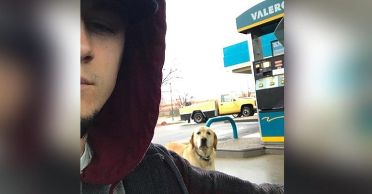 Este hombre quería ayudar a un perro que estaba aparentemente extraviado y se llevó una gran sorpresa al ver su placa de identificación