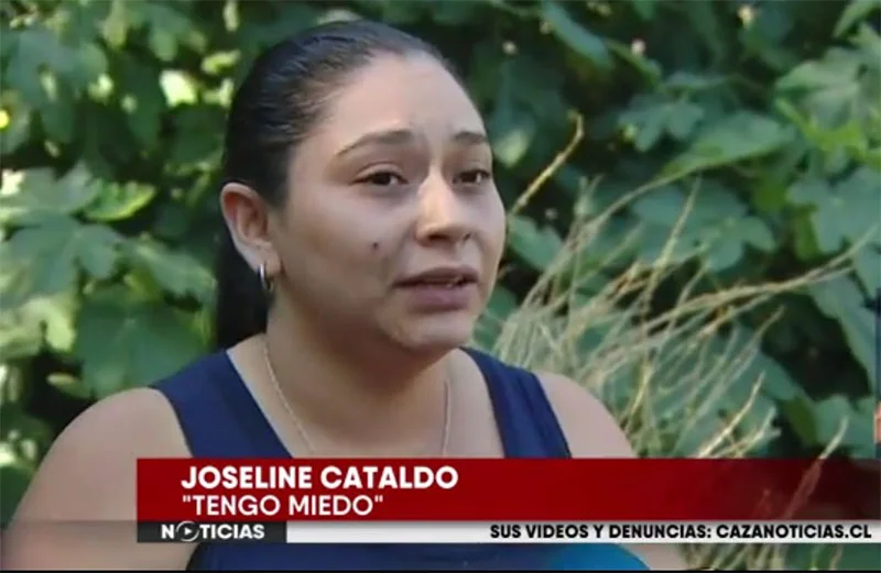 Joseline Cataldo Joseline Cataldo