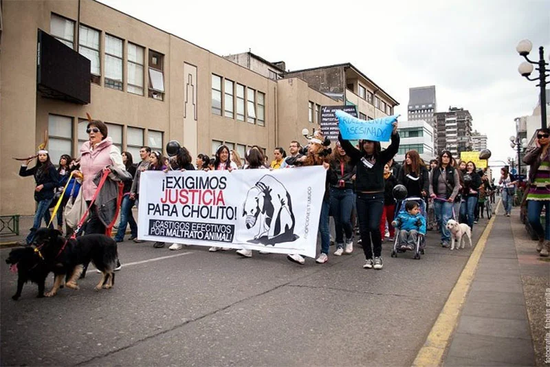 Justicia para Cholito Justicia para Cholito