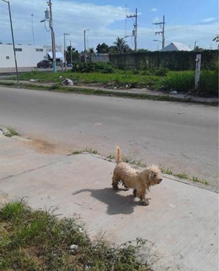 Max