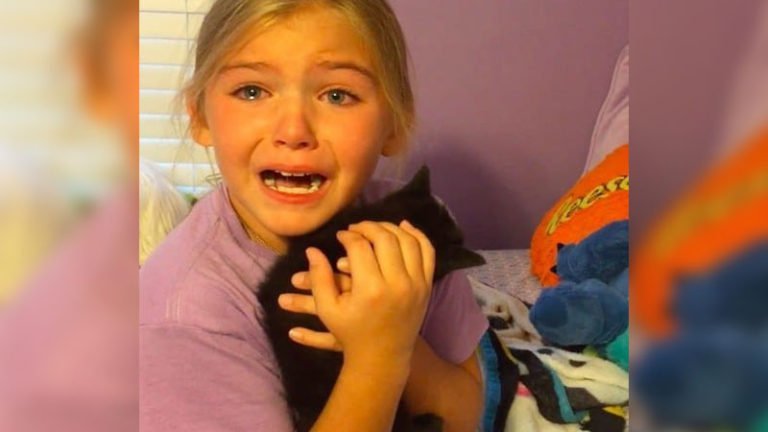 Niña rompe en llanto cuando su mamá la sorprende con un gatito rescatado