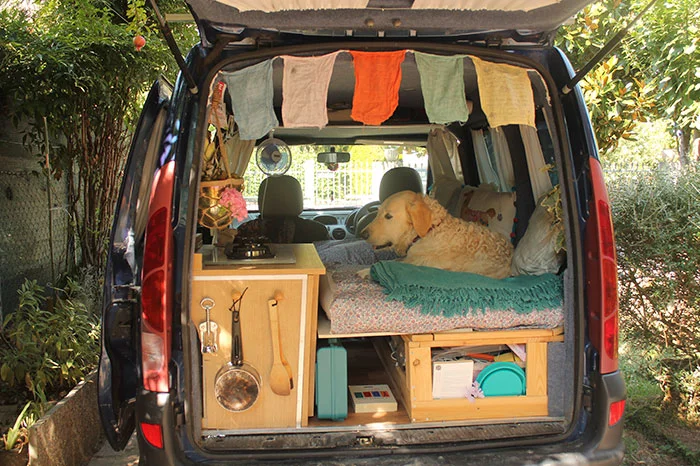 Pam es el hogar de Odie y Marina