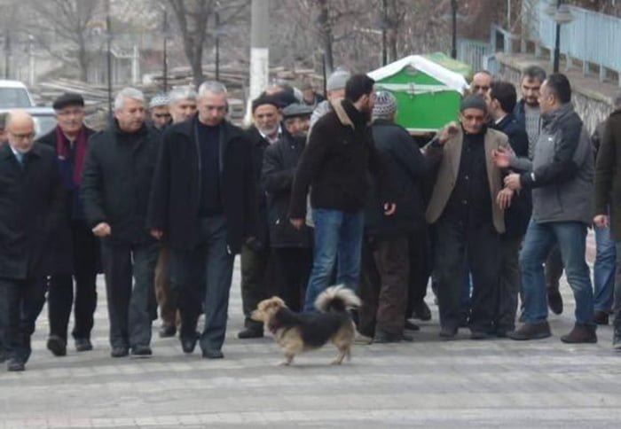 Cane assiste al funerale del suo migliore amico