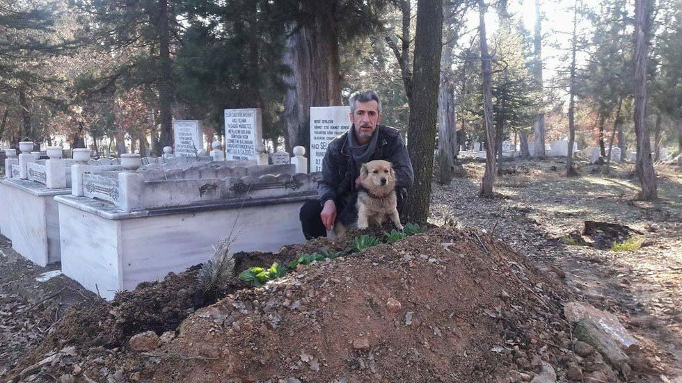 Cane visitare la tomba di suo padre umano