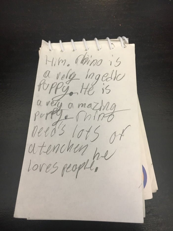 Carta de la niña
