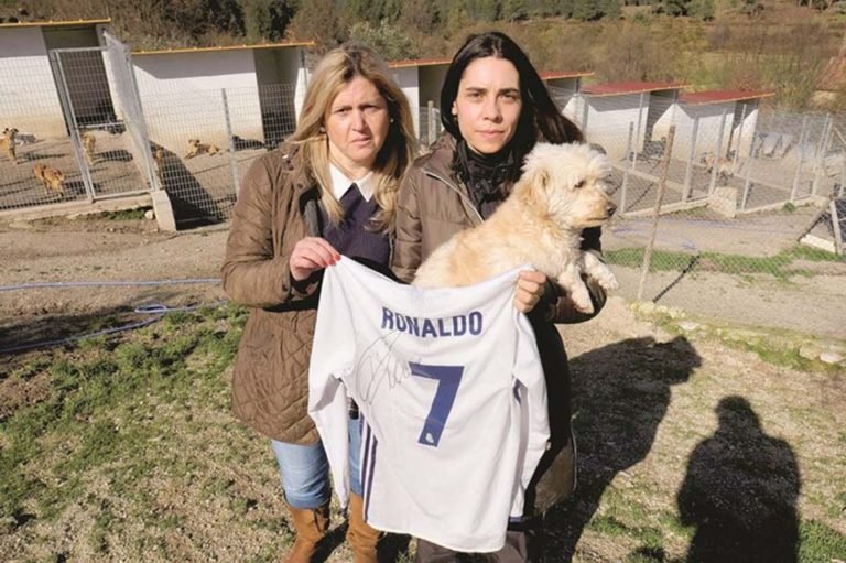Cristiano Ronaldo ayudó a un albergue para perros abandonados en Portugal
