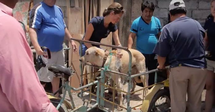 Escot fue transportado en una ambulancia improvisada