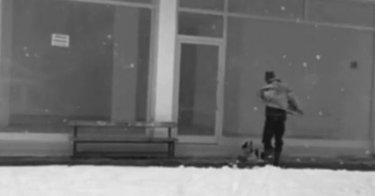 Cámara de seguridad capta el momento en que un hombre ayuda a un perro sin hogar que moría de frío en Turquía