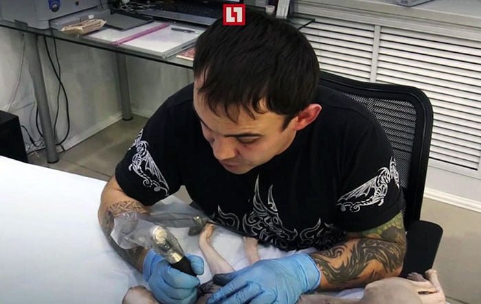 Este hombre tatuó el cuerpo de su gato esfinge