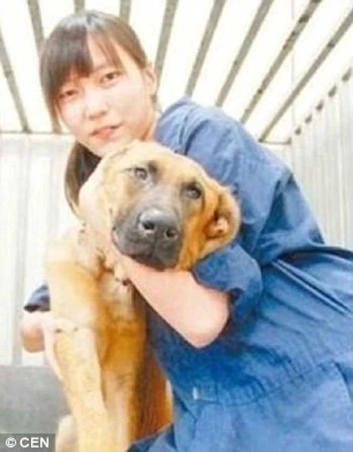 En Taiwan queda prohibido el sacrificio de animales sin hogar tras el trágico suicidio de una veterinaria 4 Jian Zhicheng