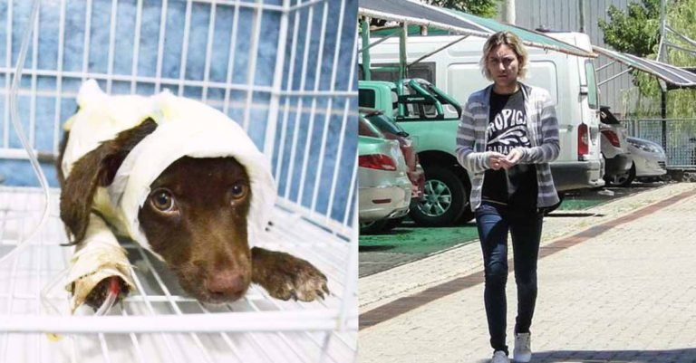 Liberaron al presunto asesino de Chocolate, el perro que murió después de haber sido despellejado vivo