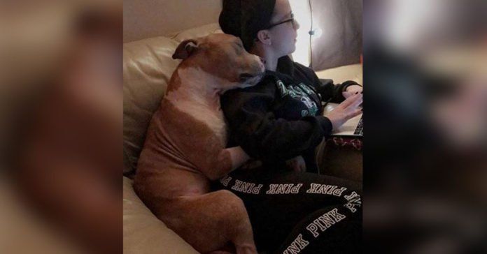 Mujer con su perro recién adoptado genera mucha ternura