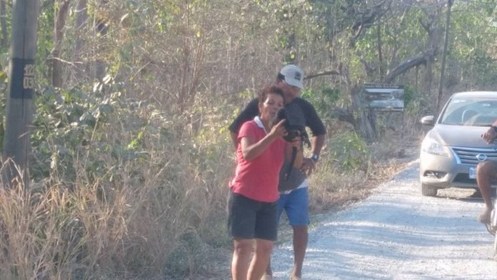 Mujer revivió a un mono electrocutado