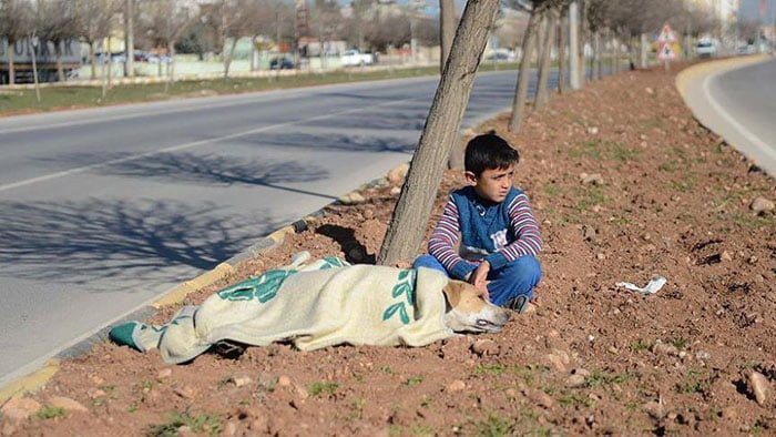 Niño refugiado