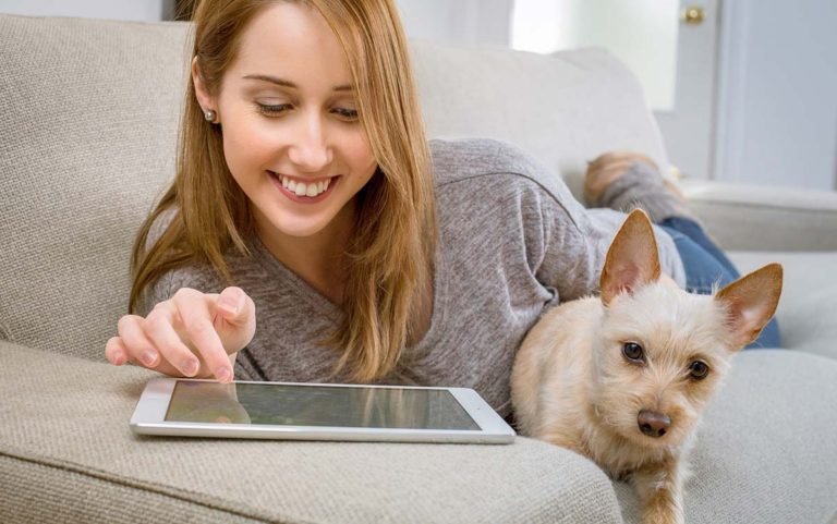 Los mejores nombres para perro macho, muy originales