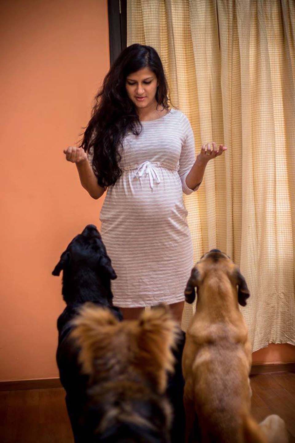 Perros y mujer embarazada