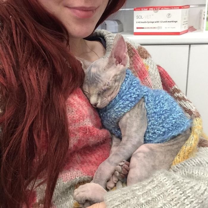 Phoebe Gill y Stitch Phoebe Gill y Stitch
